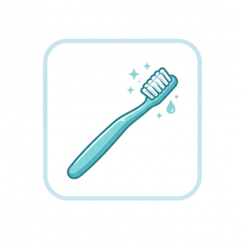 Brosses à Dents